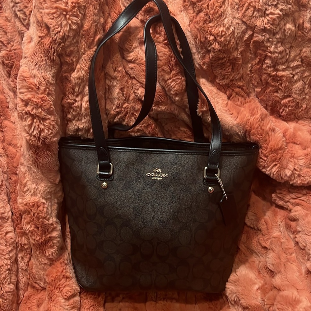 Coach Brown Signature Tote Bag